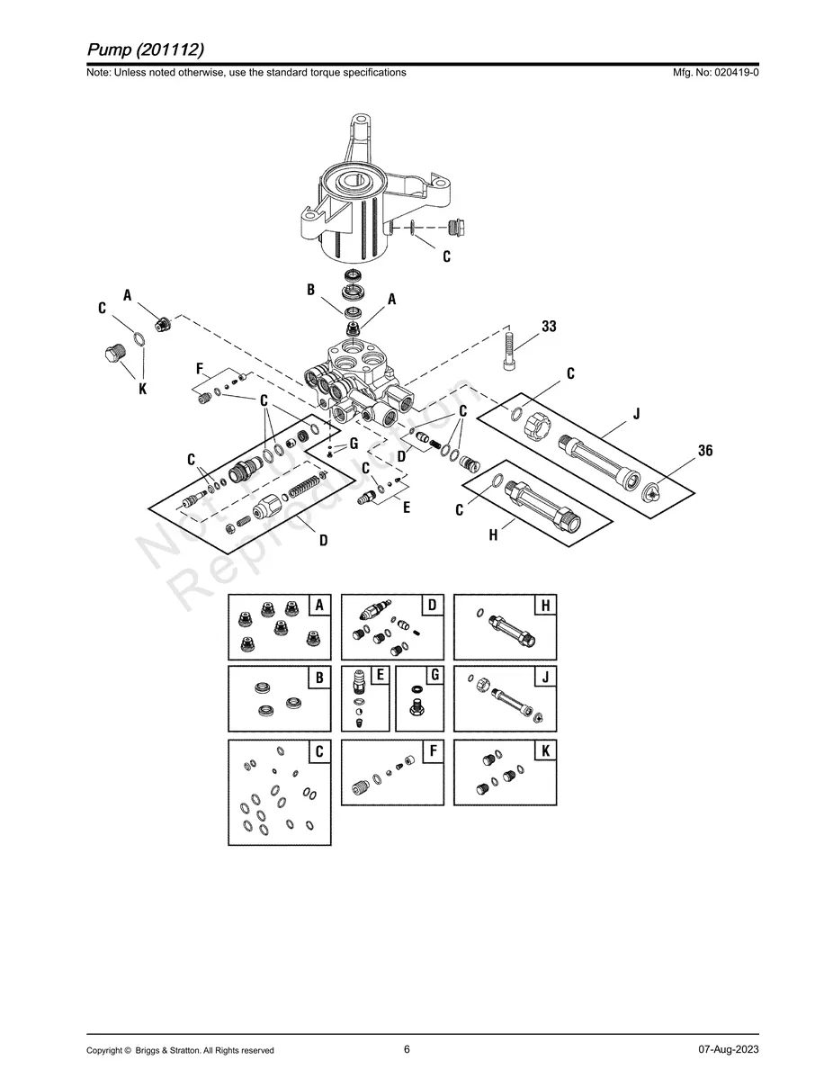 BRIGGS AND STRATTON, 020419-0, 2023, IPL.6